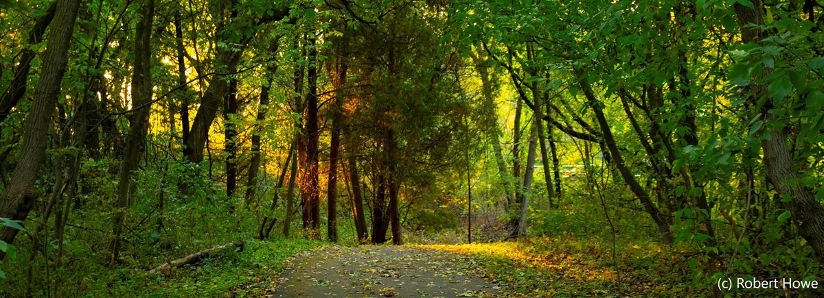 Cofrin Arboretum Trail