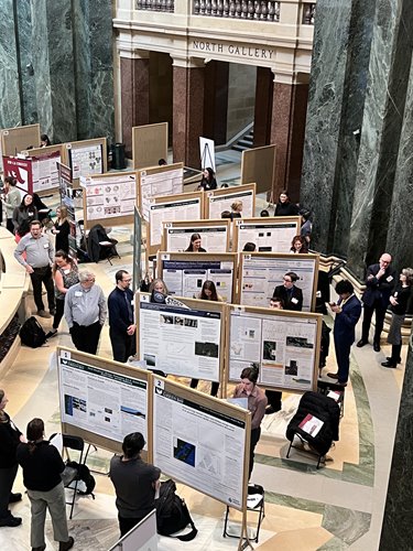 Projects on display at Research in the Rotunda