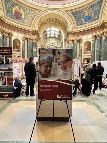 Projects on display at Research in the Rotunda