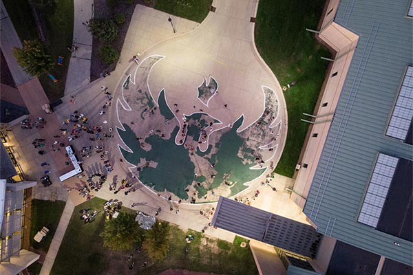 Drone aerial photo of the painted Phoenix