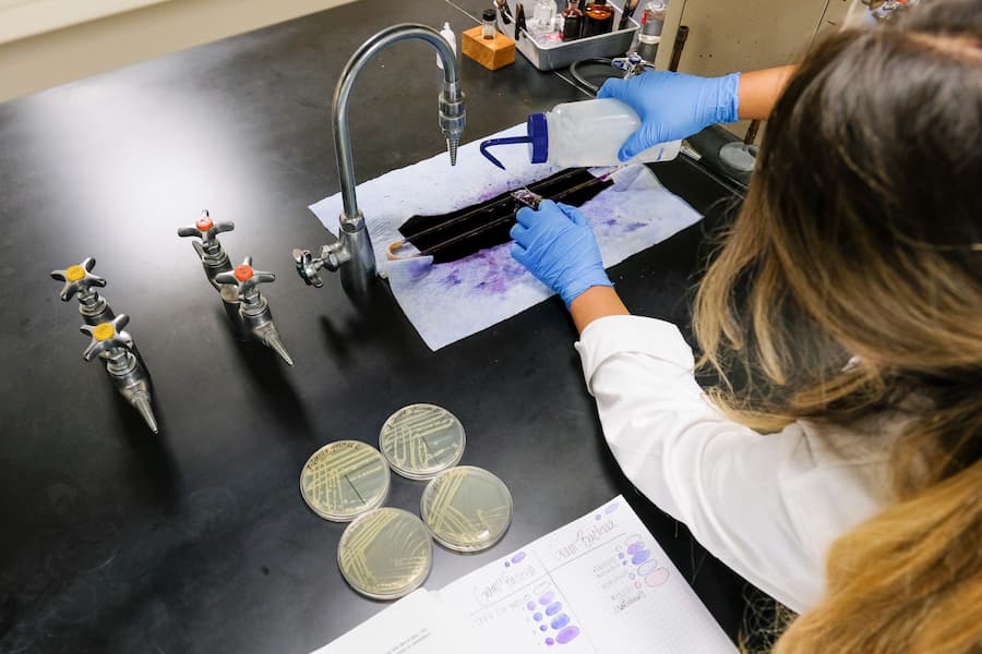 Students performs experiment in lab