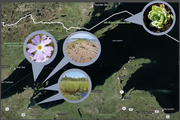 Coastal Ecology Infographic from seminar presentation