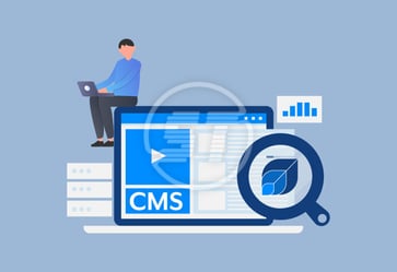 Sitetriks website accessibility installation